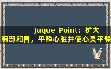 Juque  Point：扩大胸部和胃，平静心脏并使心灵平静